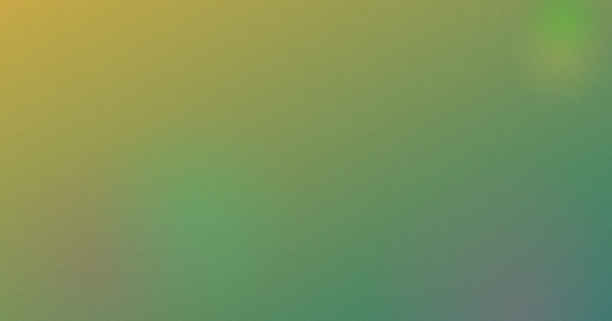 沈泰测评：别踩这几坑